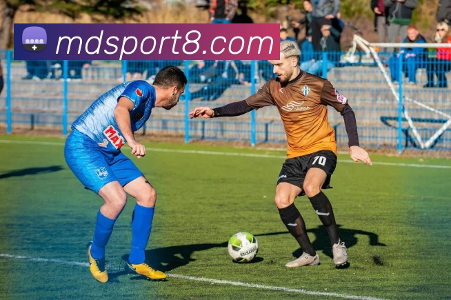 摩登体育官网APP 封面图